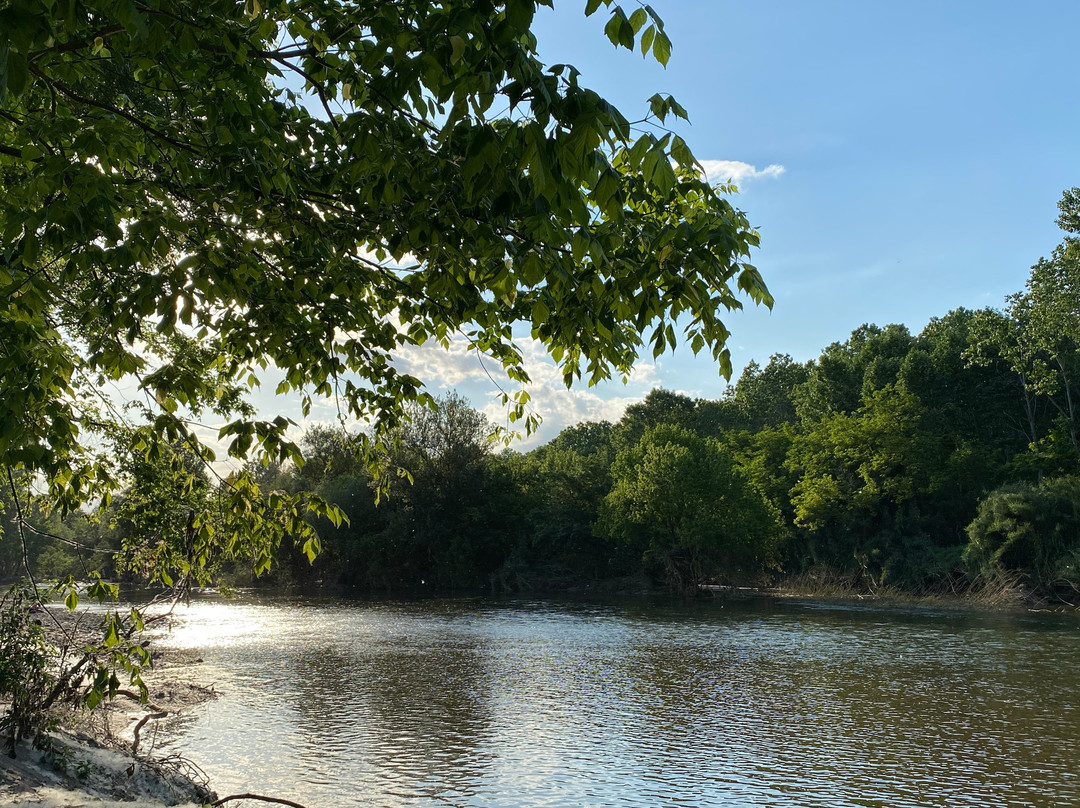 Mas Carreras 1846主图