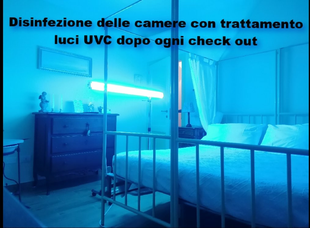 Il Pettirosso