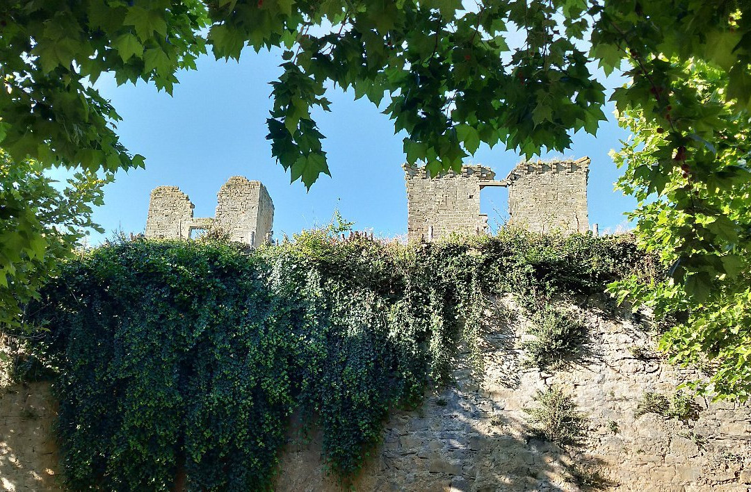 Chateau de Lagarde景点图片