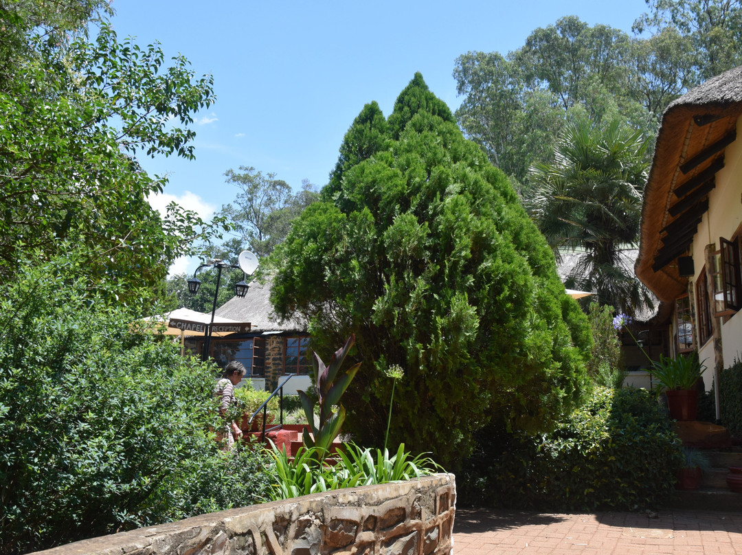 Sandford Park Country Hotel主图