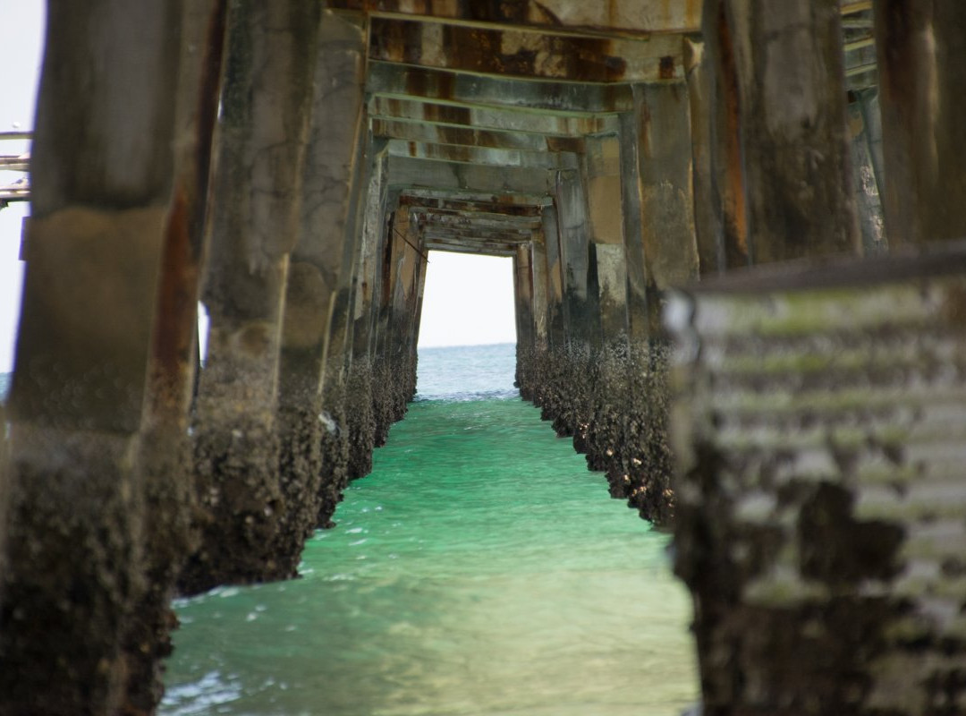 Anglin's Fishing Pier-滨海劳德代尔必去景点