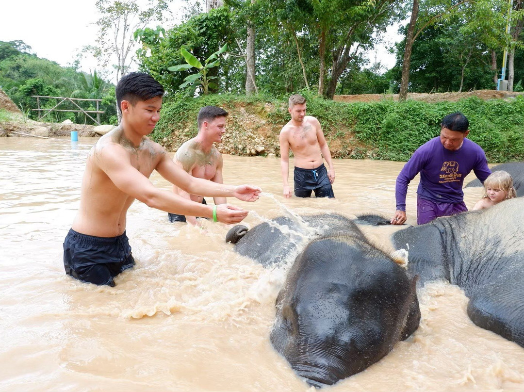 Elephants At 9 Dee Phuket-呈塔累必去景点