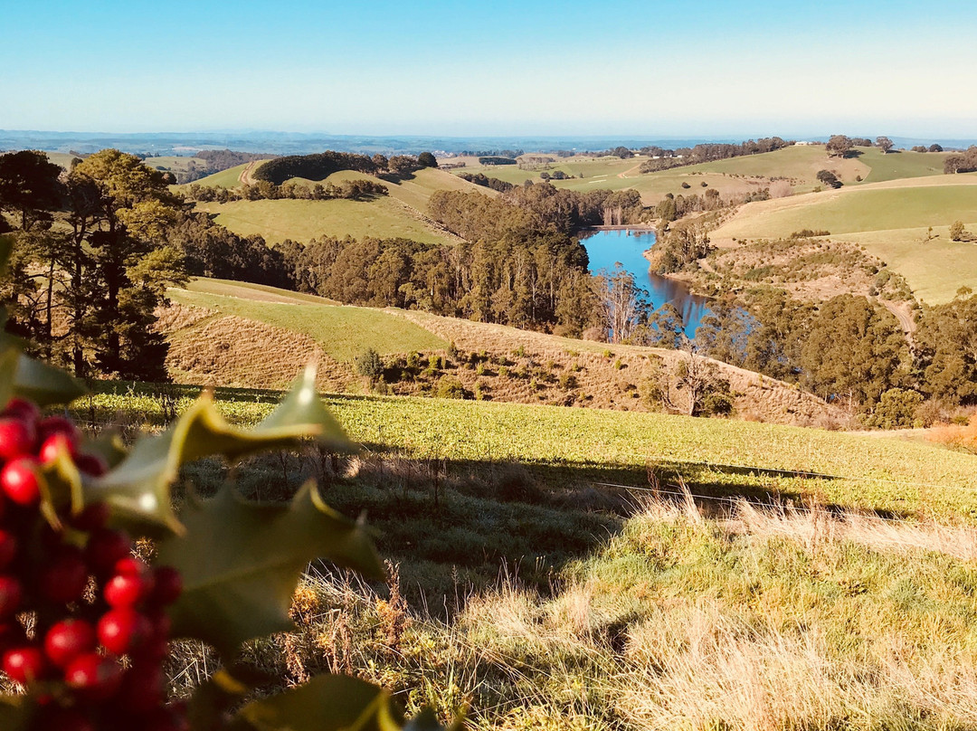 Lancey's Lookout-Arawata必去景点