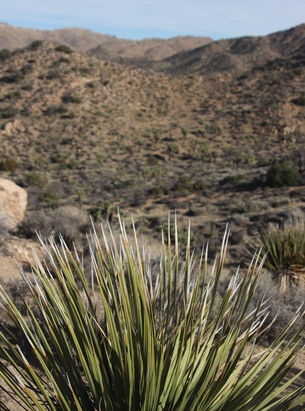 Hi-View Nature Trail-Yucca Valley必去景点