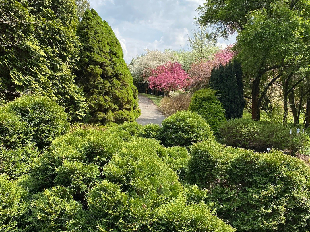Botanical Garden UMCS景点图片