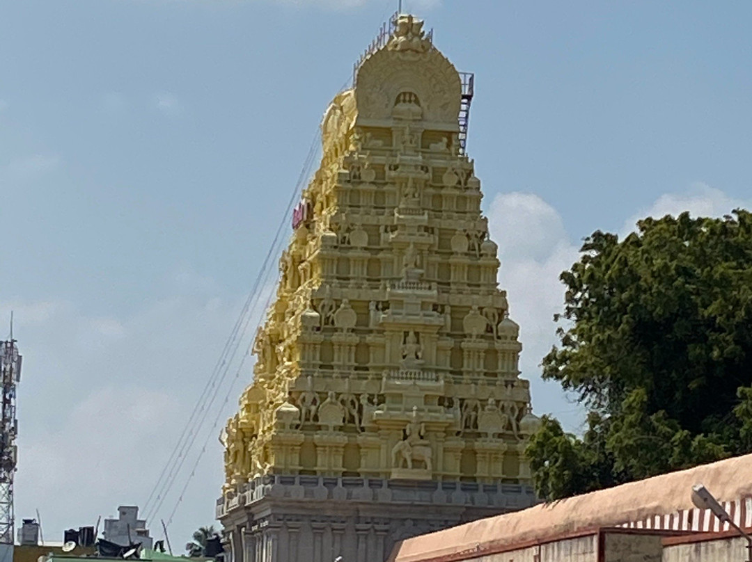 Arulmigu Ramanatha Swamy Temple景点图片