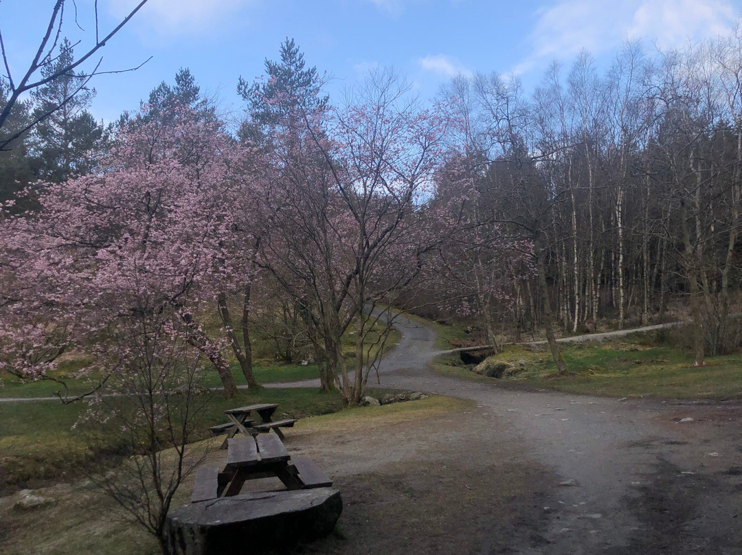 Rogaland Arboretum景点图片