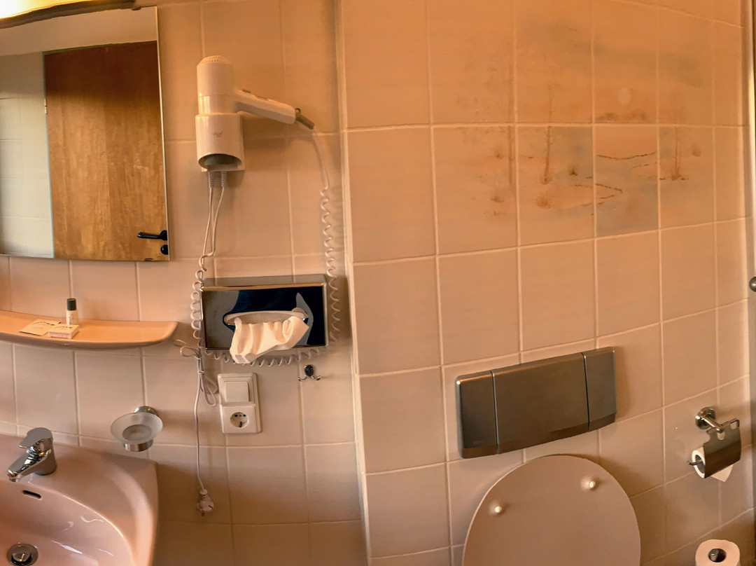 Hotel Erlenhof主图