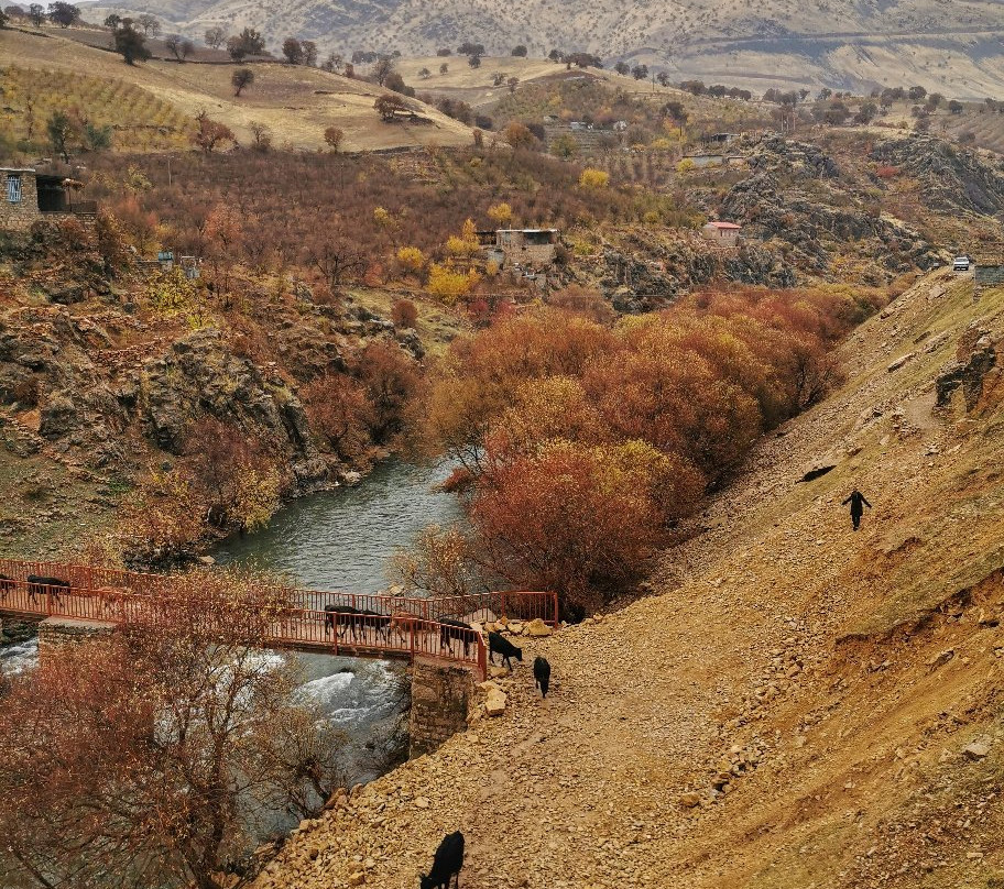 Palangan Village景点图片