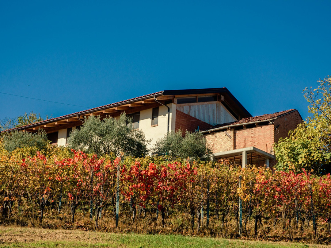 Azienda Agricola Cournaja-Santa Vittoria d'Alba必去景点