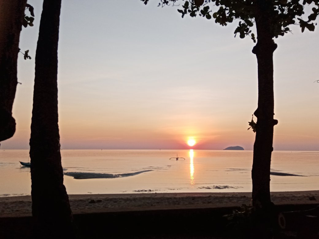 Nikki's Pension主图