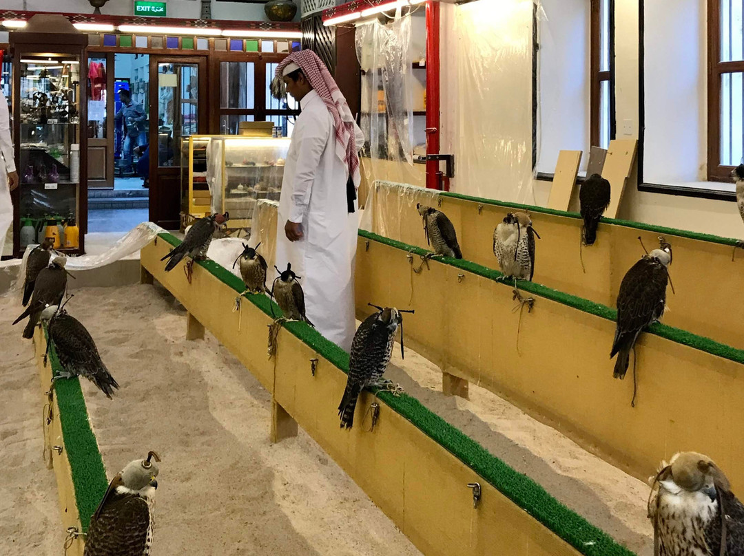 2025年2月Souq Waqif Falcon Hospital景点攻略-Souq Waqif Falcon Hospital门票预订|地址 ...