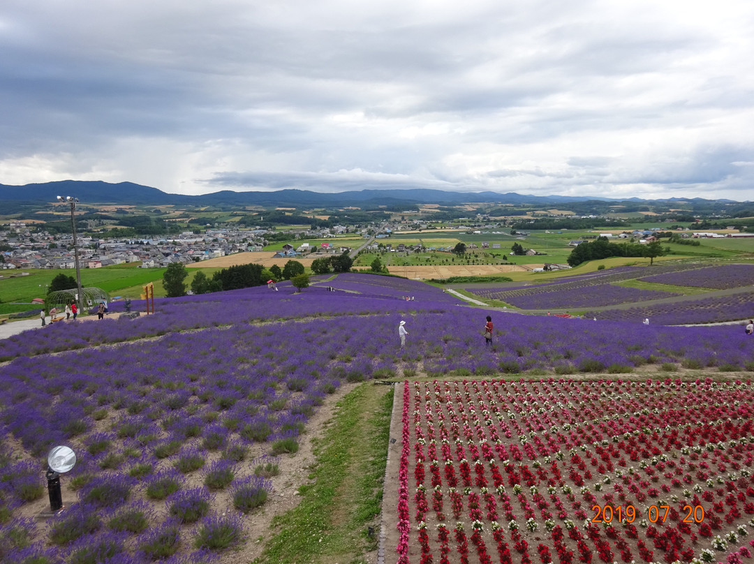 日之出公园-上富良野町必去景点