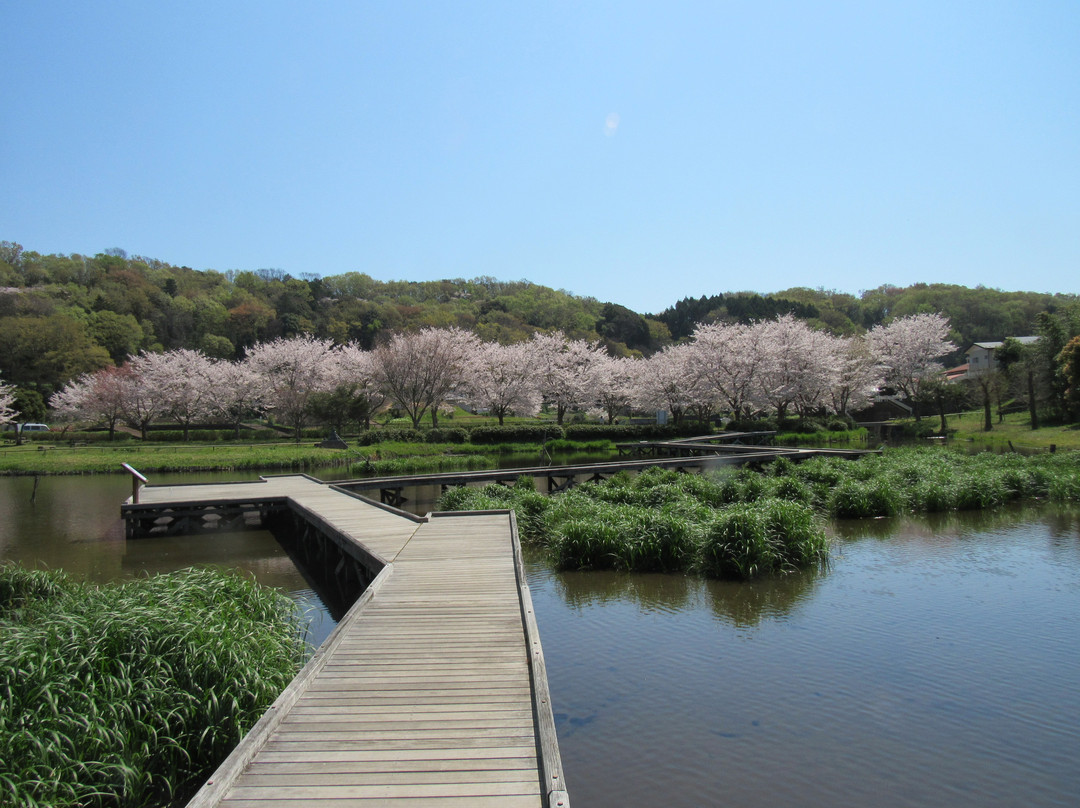 Isukushima Shissei Park景点图片