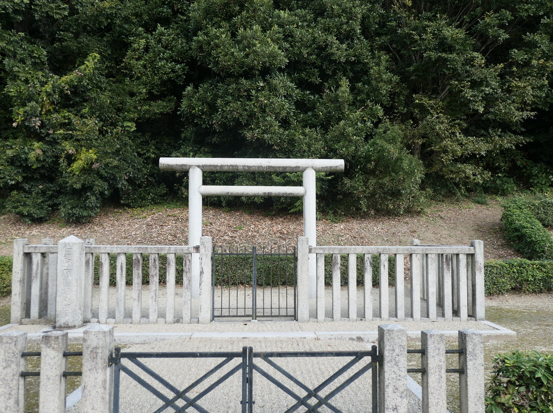 Hashihaka-樱井市必去景点