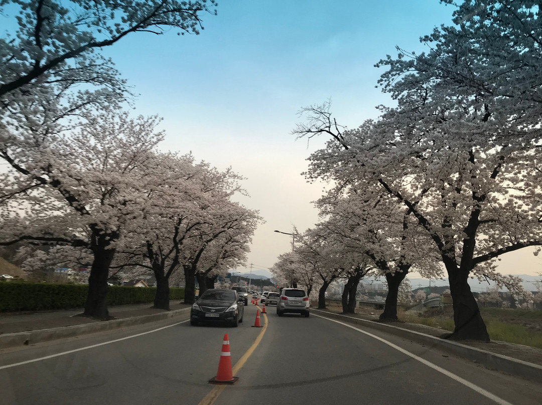 Gyeongpodae-江陵市必去景点