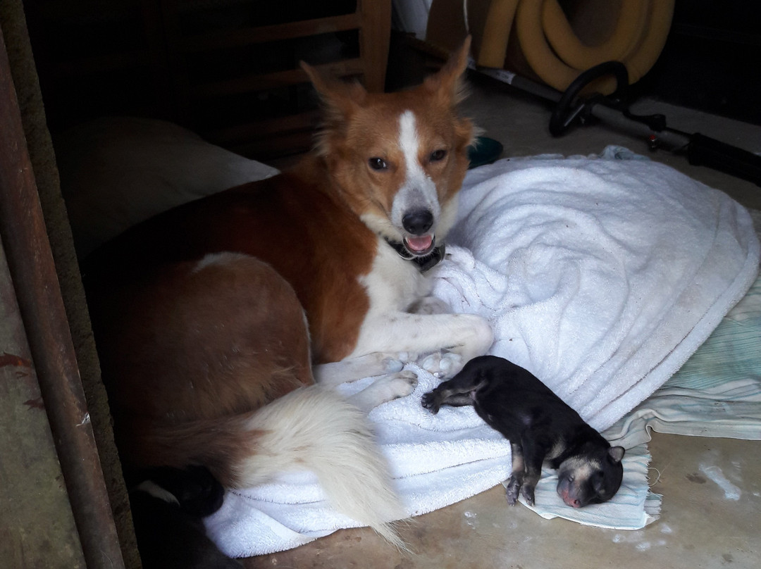 圣殿山酒店主图