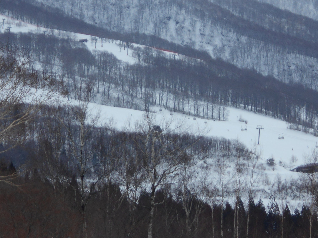 Tazawako Ski Resort-仙北市必去景点