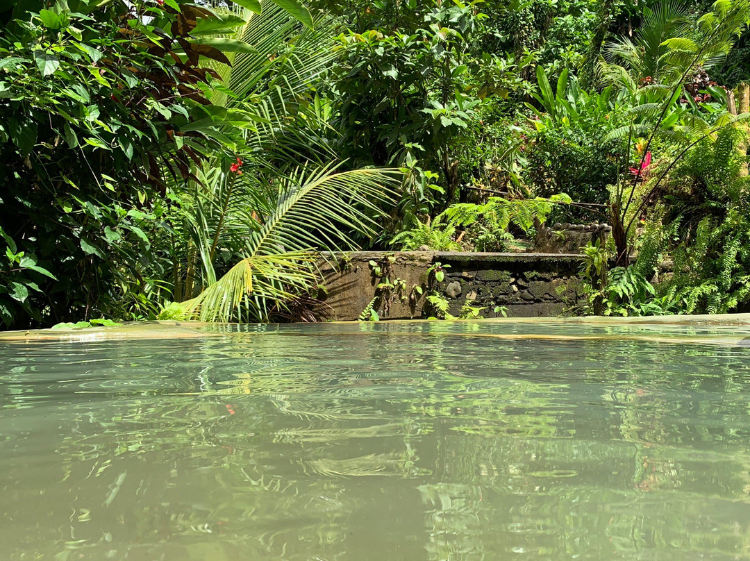 Bongo Baths-Wotten Waven必去景点