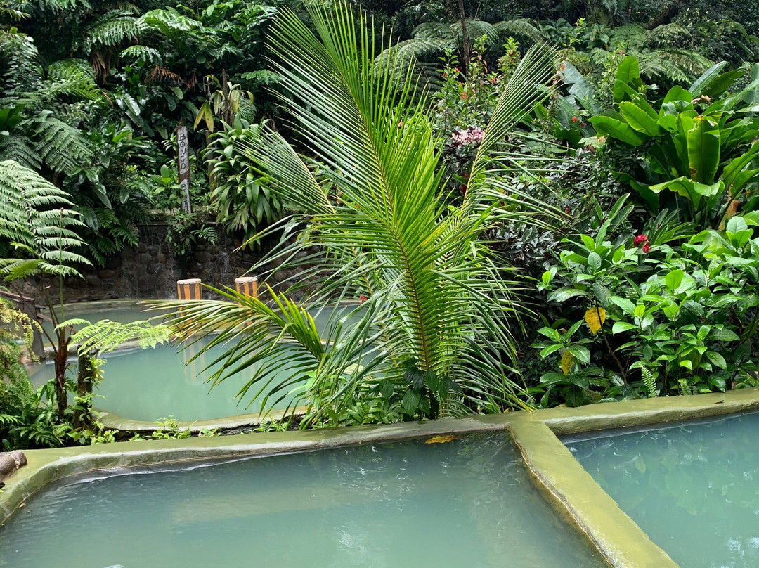 Bongo Baths-Wotten Waven必去景点