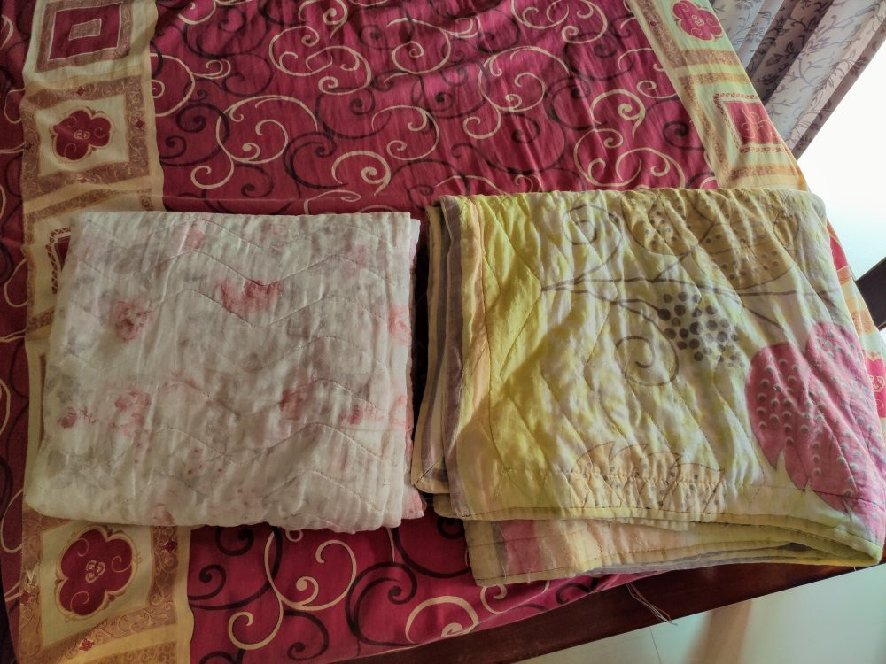 Starlight Resort主图