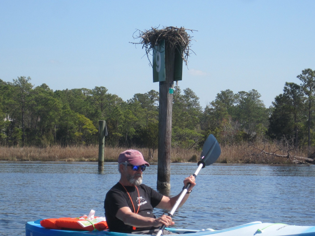 Stillwater Kayaks-新伯尔尼必去景点