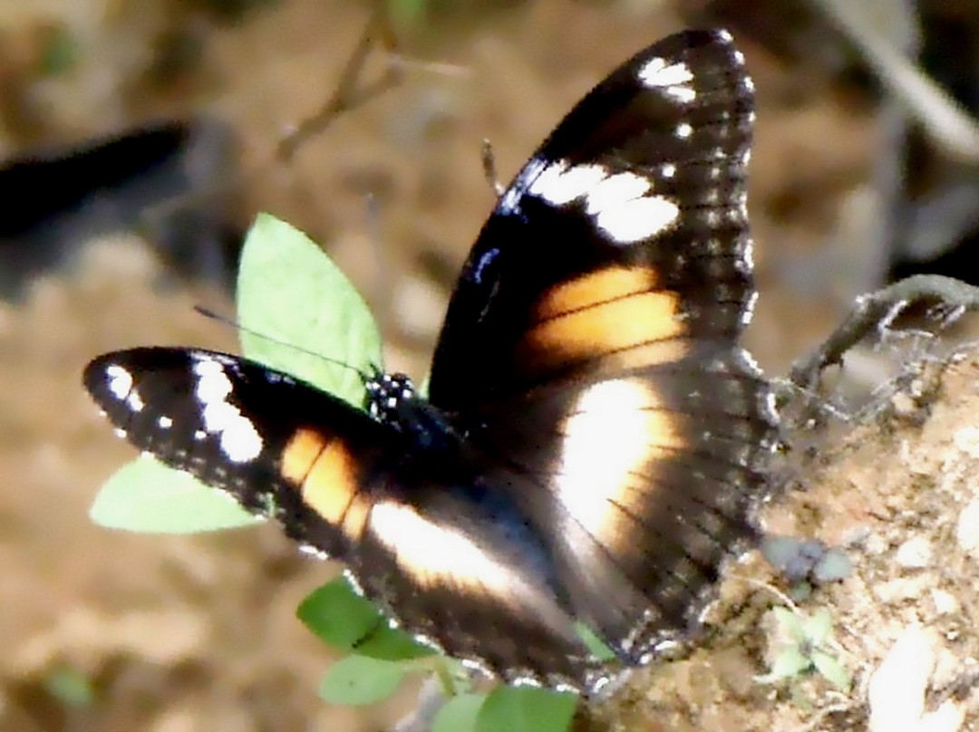 Les Chutes de la Madeleine-Yate必去景点