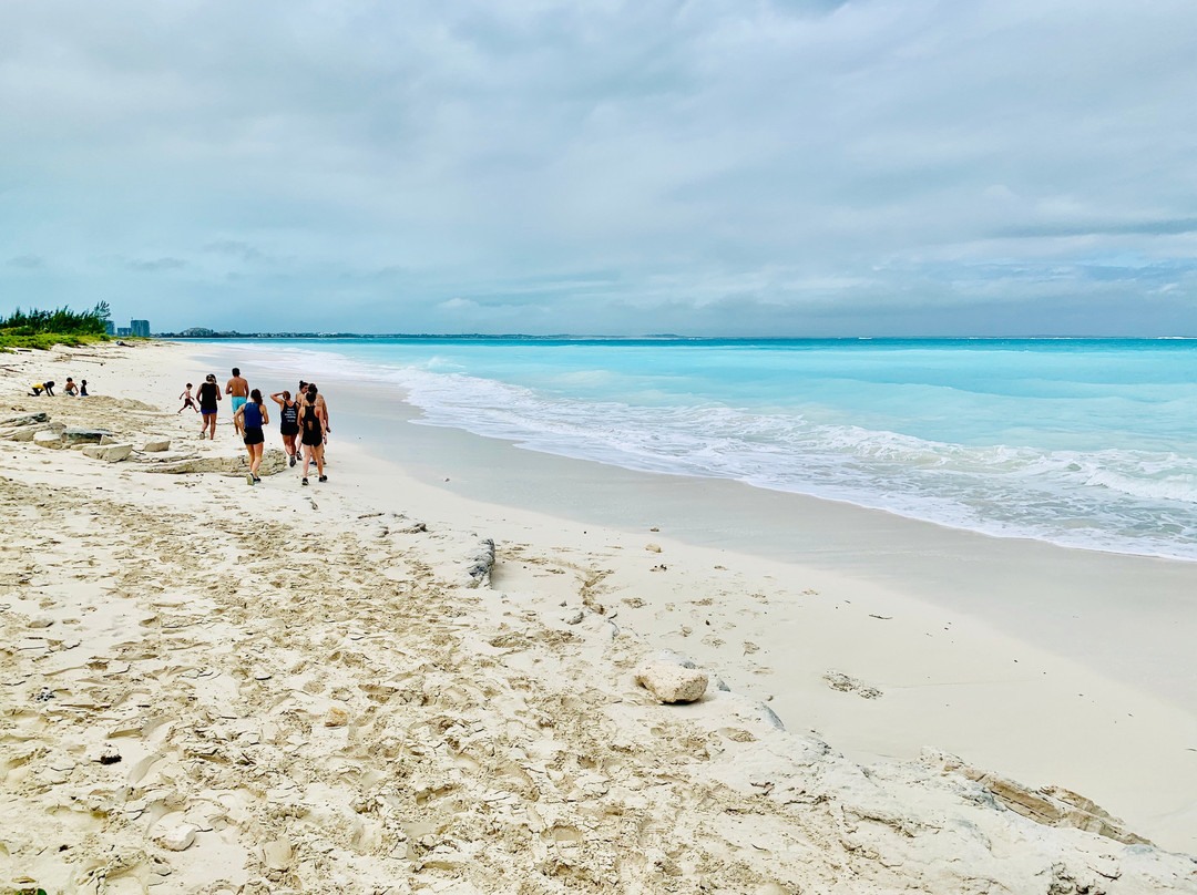 Leeward Beach-普罗维登西亚莱斯必去景点