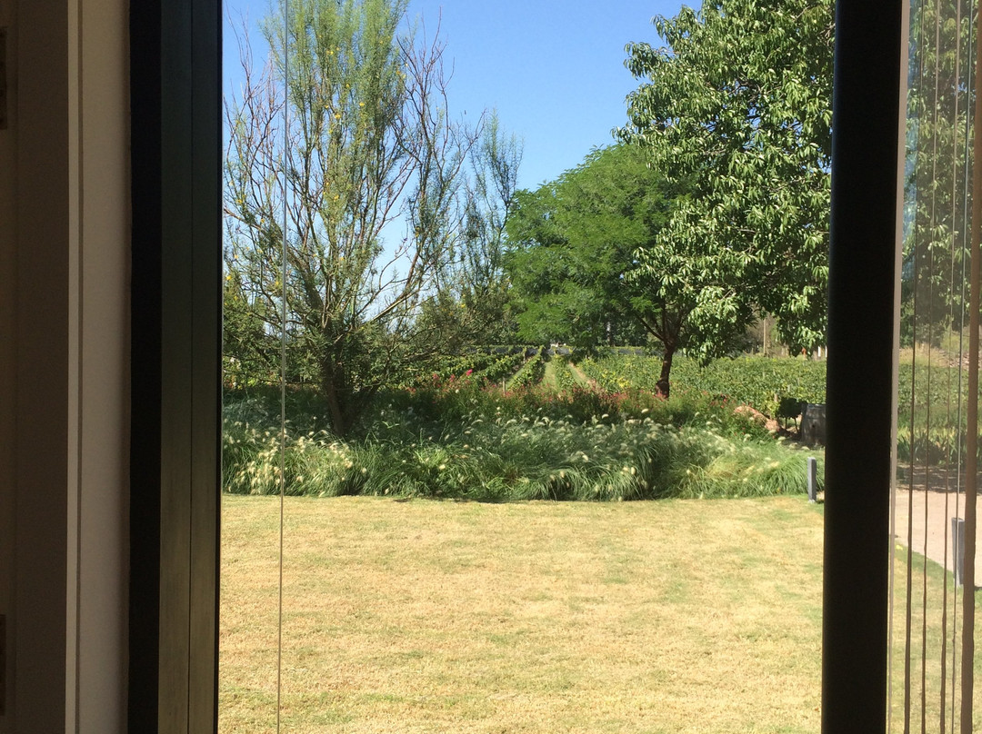 Huarpe Riglos Family Wines-阿格雷洛必去景点