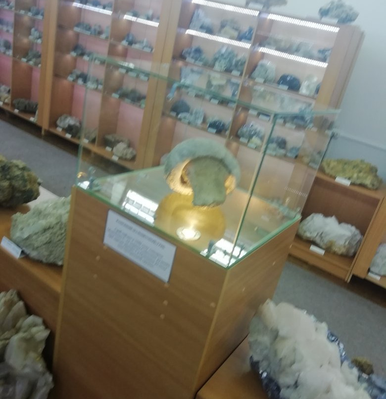 Dalnegorsk History Museum-Dalnegorsk必去景点