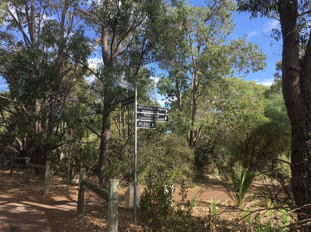 Piney Lakes Ecohub景点图片