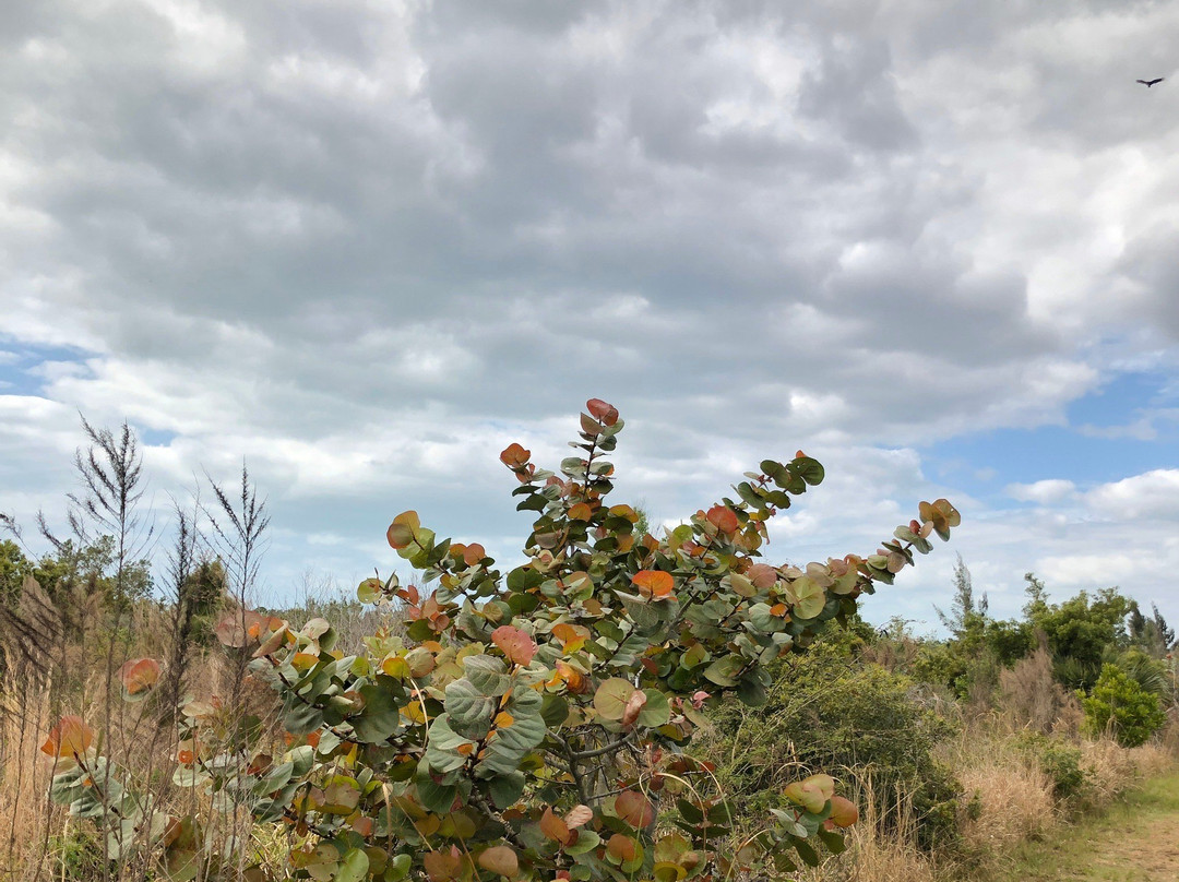 Galt Preserve-Saint James City必去景点