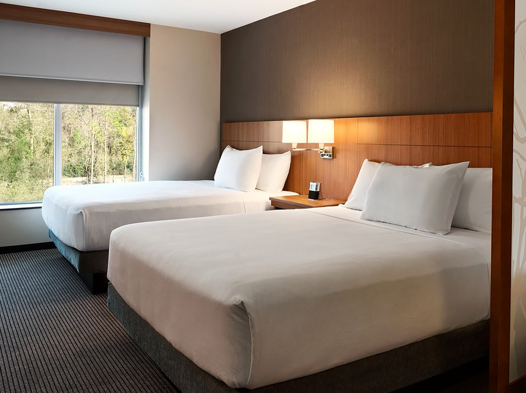 休斯顿/兀兰凯悦广场酒店主图