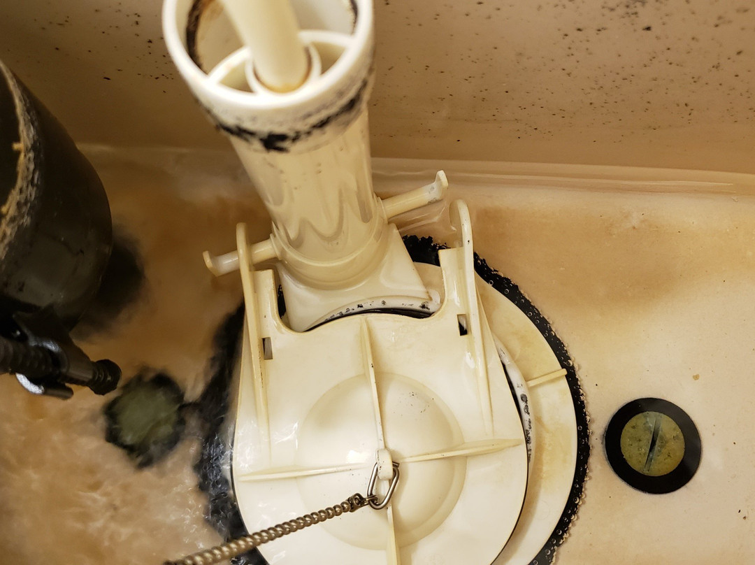 梅里尔维尔希尔顿花园旅馆主图