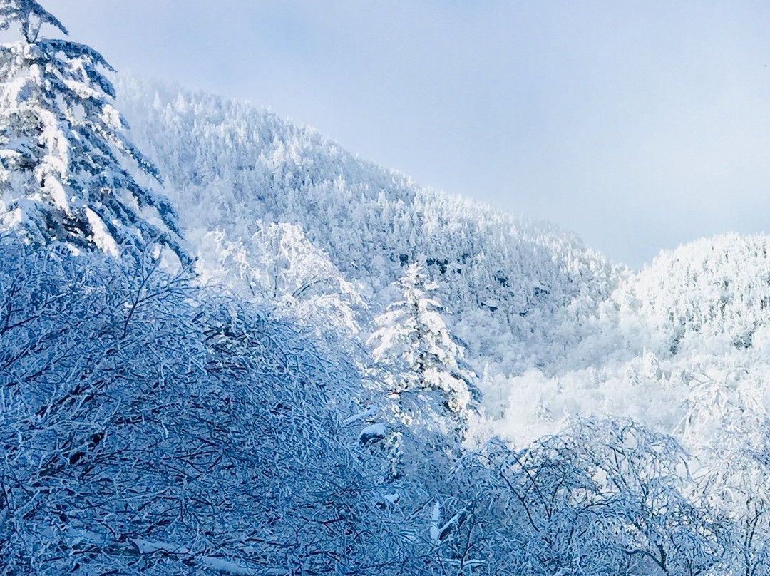 Mad River Glen-Waitsfield必去景点
