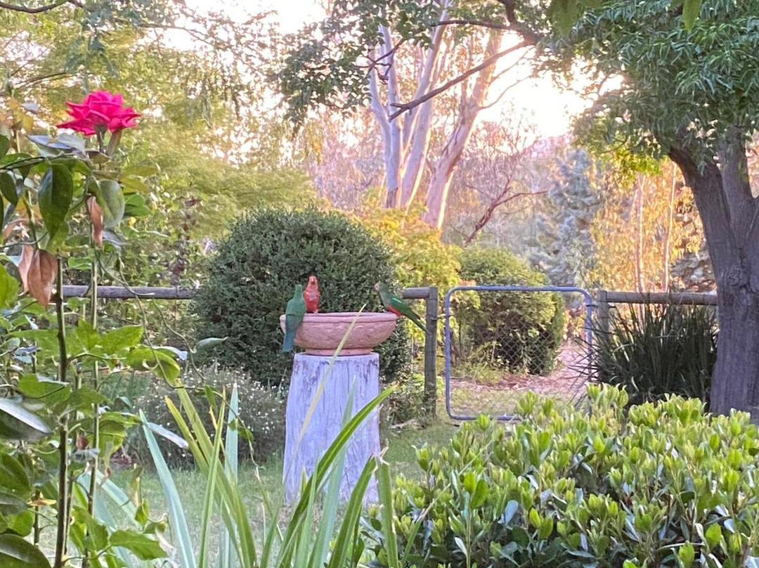 Swanpool Creek Bed & Breakfast主图