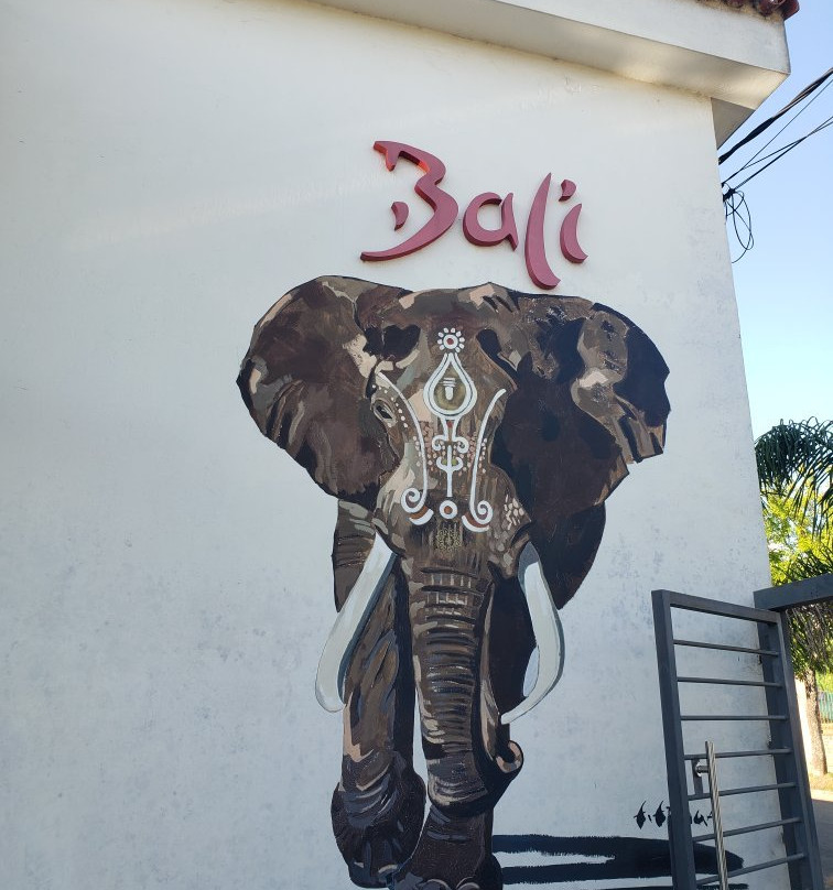 Bali Hotel Boutique主图