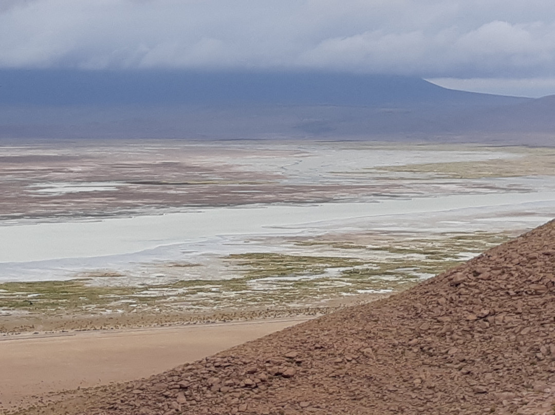 Parque Nacional Salar del Huasco景点图片