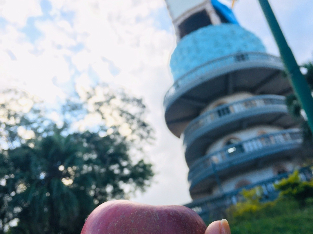 Monumento à Padroeira - Nossa Senhora do Monte Serrat景点图片