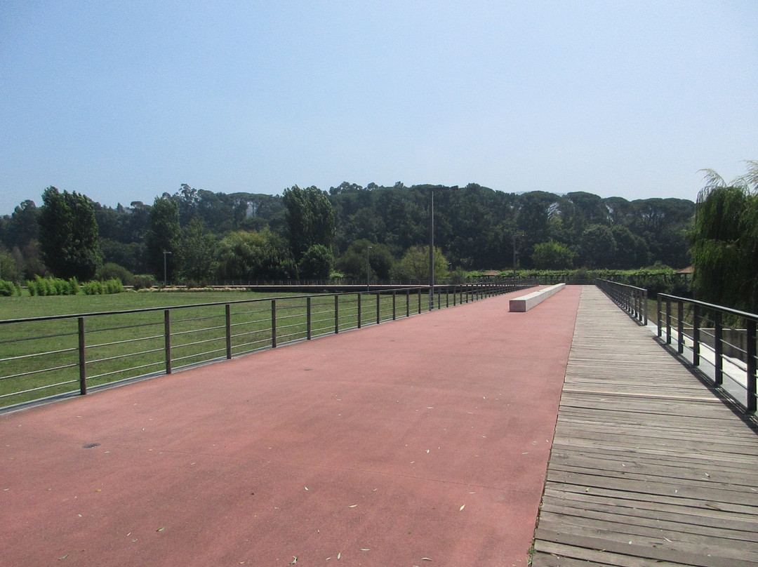 Passeio das Margens do Ave景点图片