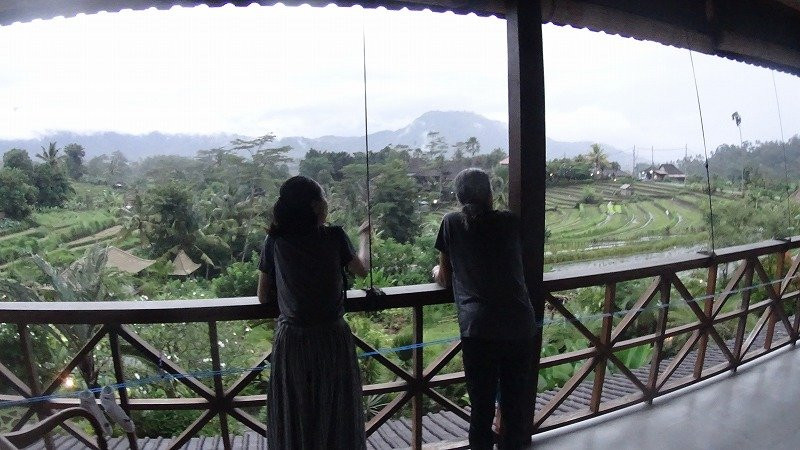 英达田园别墅主图