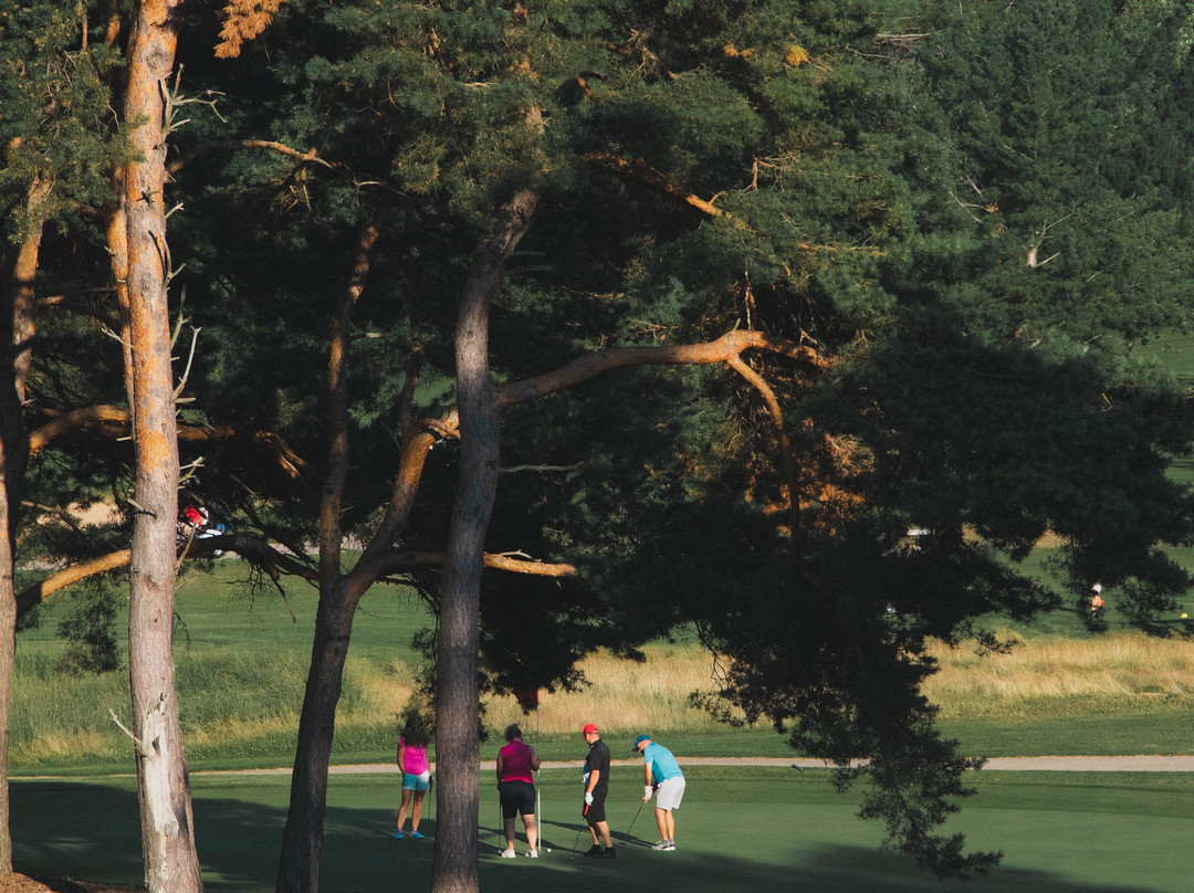 Alpine Golf Club-Comstock Park必去景点