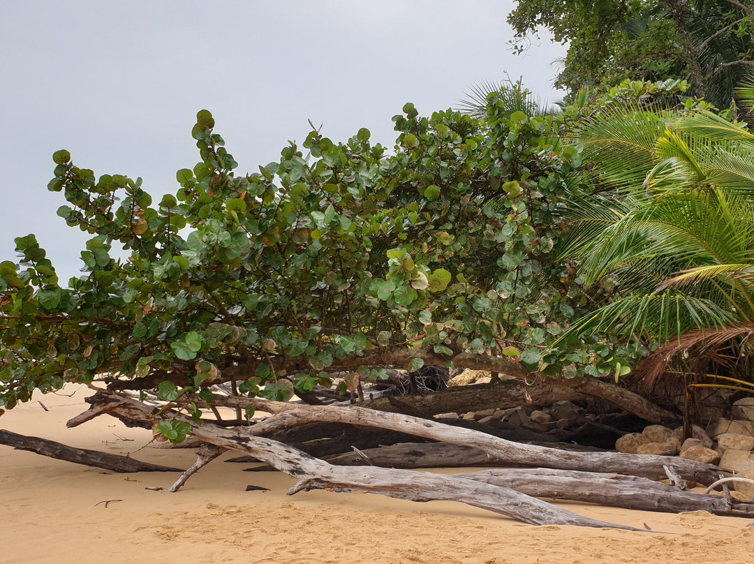 Bluff Beach Retreat主图