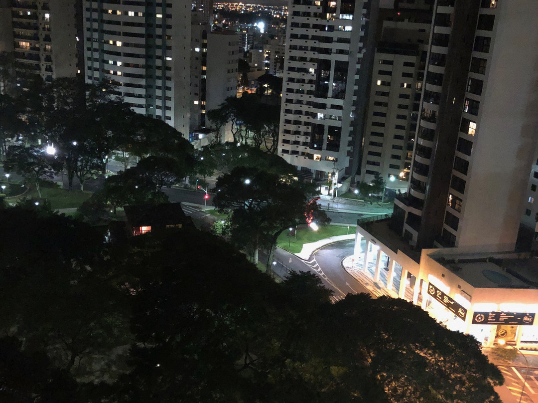 拉迪森库里蒂巴酒店主图