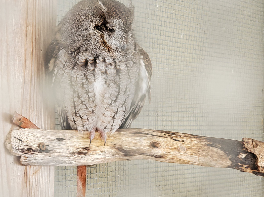 Gulf State Park Nature Center-橙色海湾必去景点