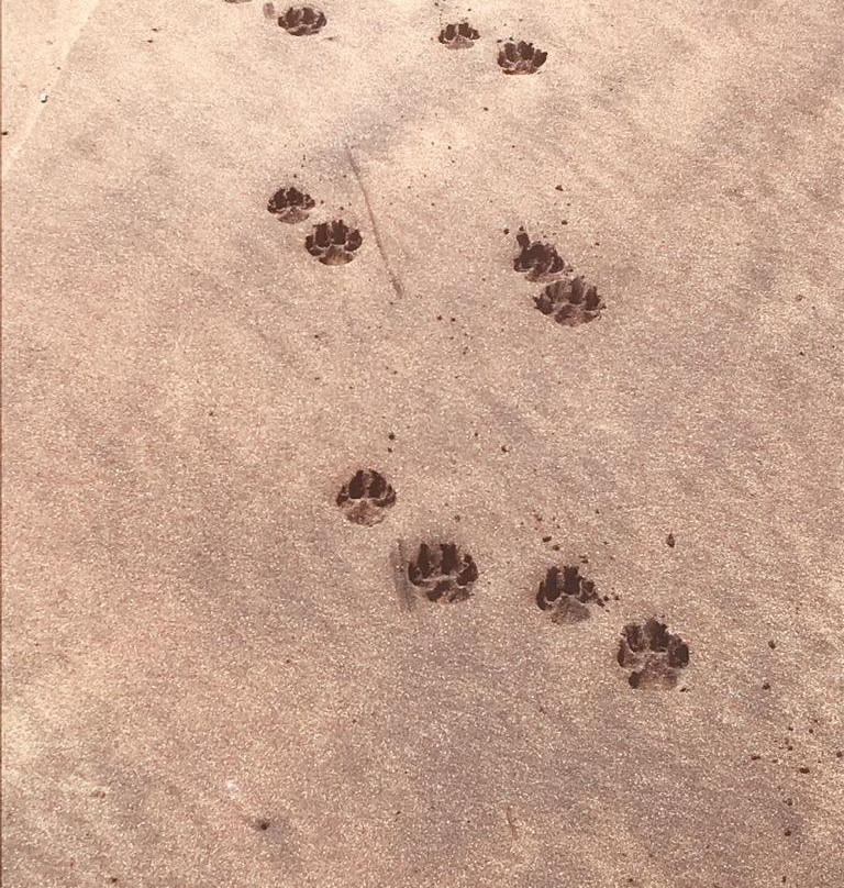 Kingdom Resort主图