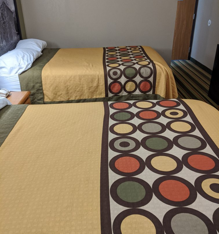 Super 8 by Wyndham St. Clair MO主图