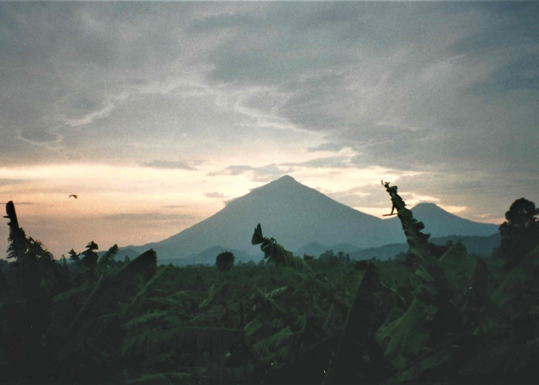 Virunga Volcanoes景点图片