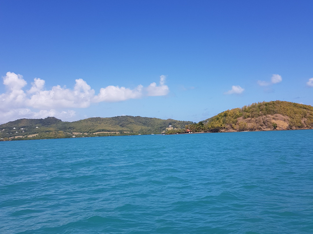 thea-excursion-Le Francois必去景点