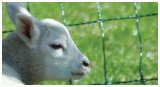Rowsley Hall Farm主图